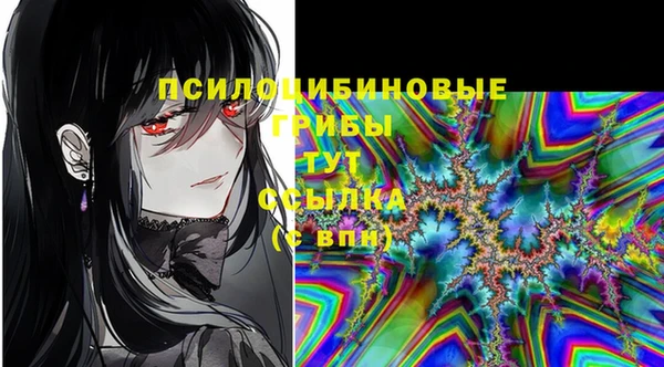 ешки Баксан