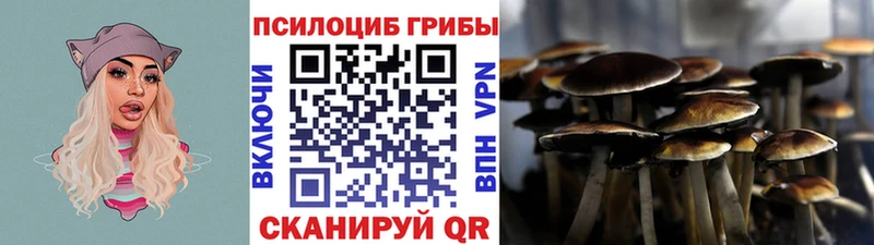 Псилоцибиновые грибы MAGIC MUSHROOMS  купить наркоту  Кубинка 